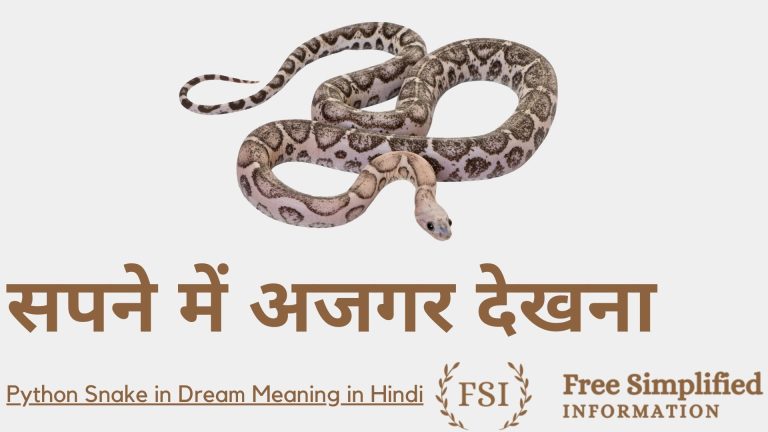 सपने में अजगर देखना इसका मतलब क्या है ? Python Snake in Dream Meaning