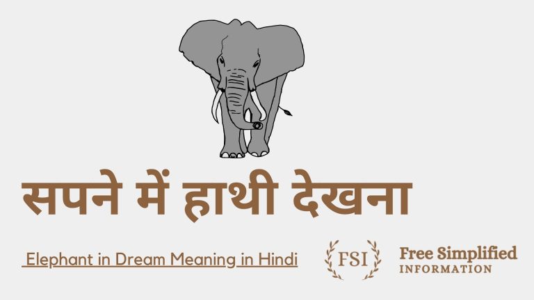 सपने में हाथी देखना इसका मतलब क्या है ? Elephant in Dream Meaning