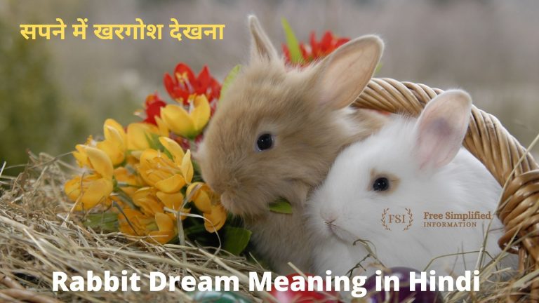 सपने में खरगोश देखना इसका मतलब क्या है ? Rabbit in Dream Meaning