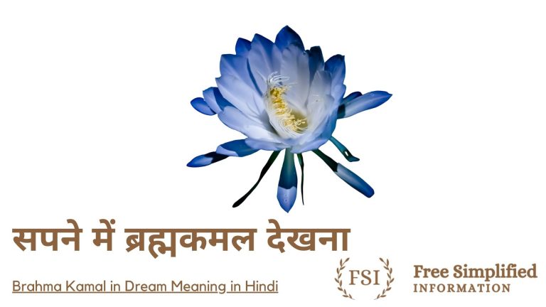 सपने में ब्रह्मकमल देखना इसका मतलब क्या है? Brahma Kamal in Dream