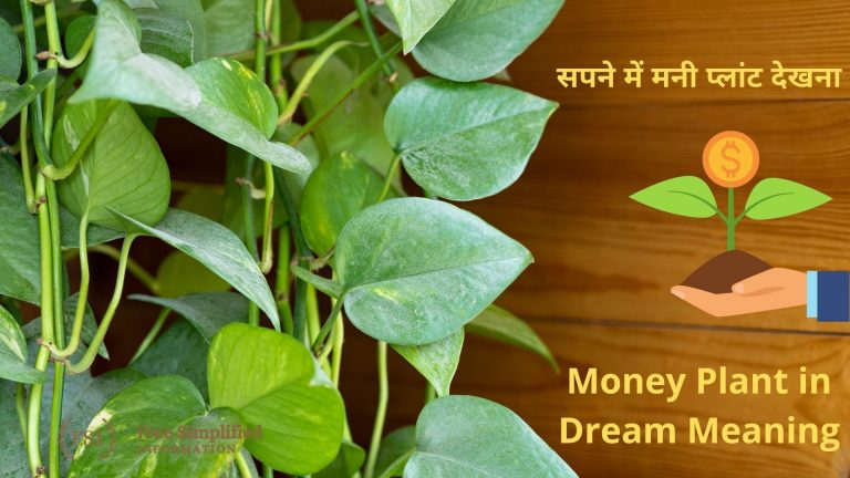 सपने में मनी प्लांट देखना इसका मतलब क्या है ? Money Plant in Dream Meaning