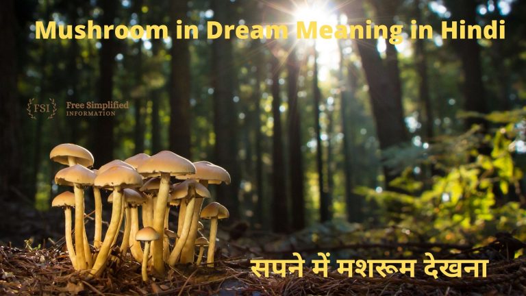 सपने में मशरूम देखना इसका मतलब क्या है? Mushroom in Dream Meaning