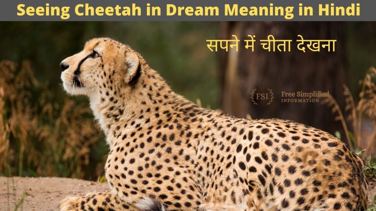 सपने में चीता देखना इसका मतलब क्या है ? Cheetah in Dream Meaning