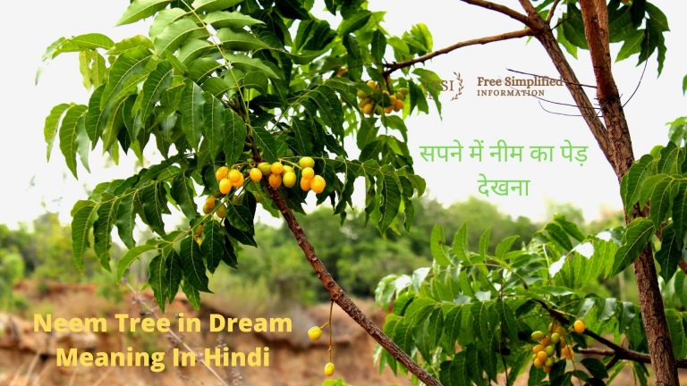 सपने में नीम का पेड़ देखना इसका मतलब क्या है? Neem Tree in Dream