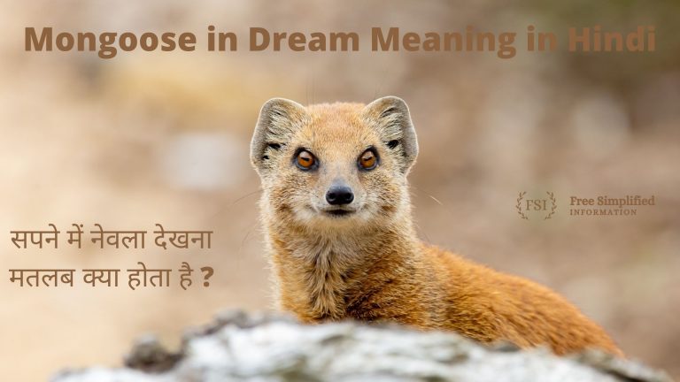सपने में नेवला देखना इसका मतलब क्या है? Mongoose in Dream Meaning