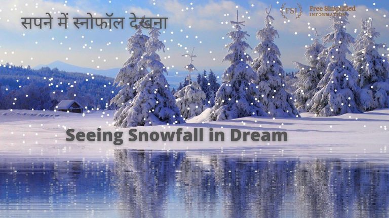सपने में स्नोफॉल देखना इसका मतलब क्या है ? Snowfall in Dream Meaning